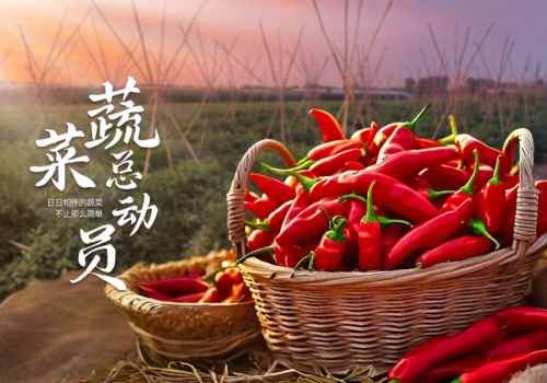 极悦娱乐 dadac