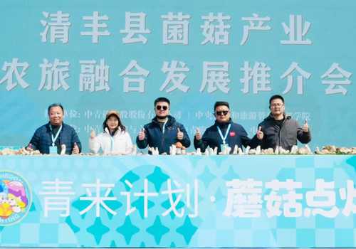 极悦娱乐 ce44d